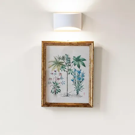 Hidden Gem In The Heart Of The Apartment
